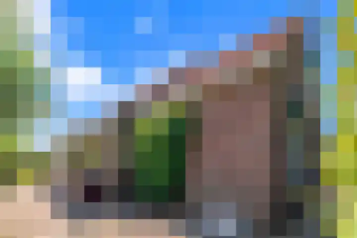Dorpsdijk 69 Vierpolders thumbnail 26
