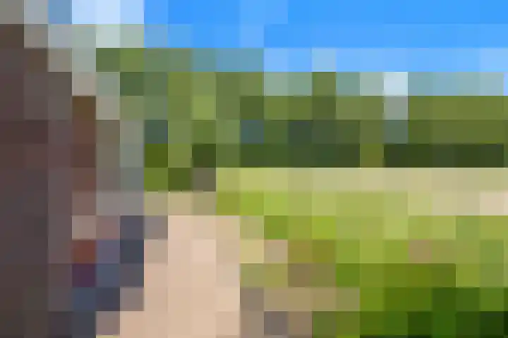 Dorpsdijk 69 Vierpolders thumbnail 27