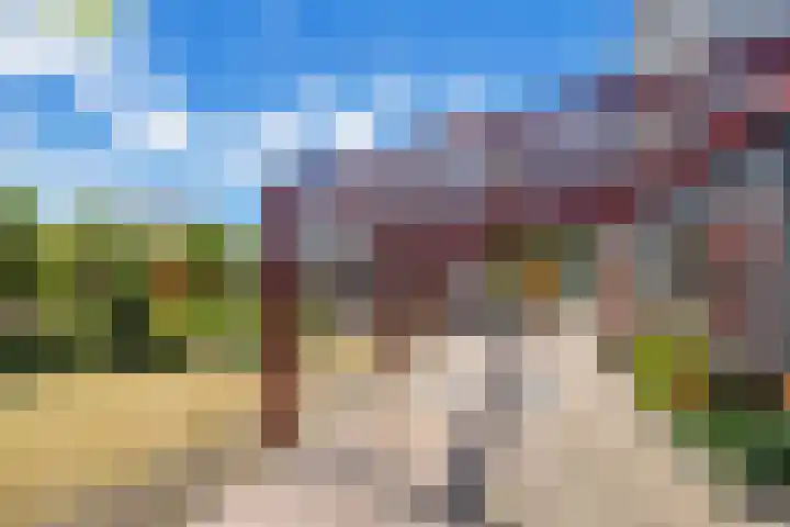 Dorpsdijk 69 Vierpolders thumbnail 28