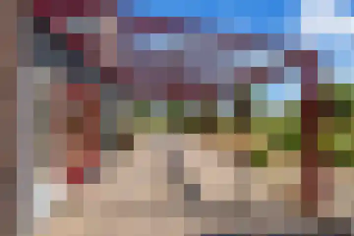 Dorpsdijk 69 Vierpolders thumbnail 29