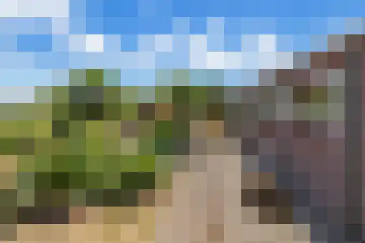 Dorpsdijk 69 Vierpolders thumbnail 30