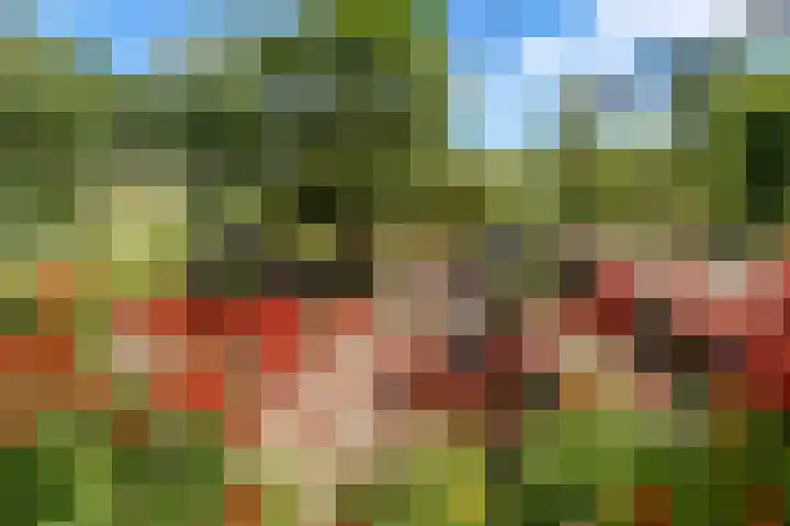 Dorpsdijk 69 Vierpolders thumbnail 31