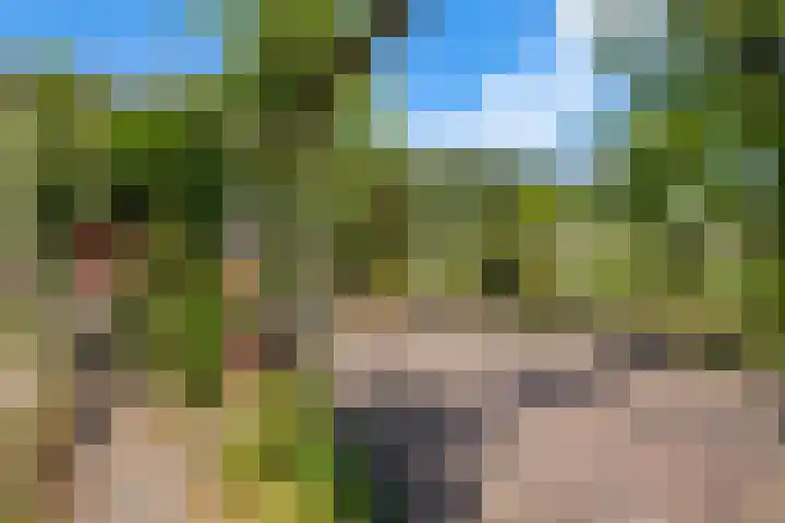 Dorpsdijk 69 Vierpolders thumbnail 32
