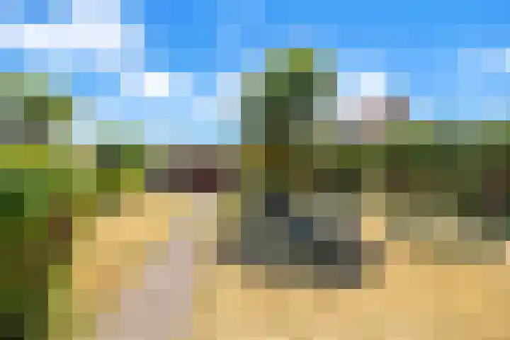 Dorpsdijk 69 Vierpolders thumbnail 33