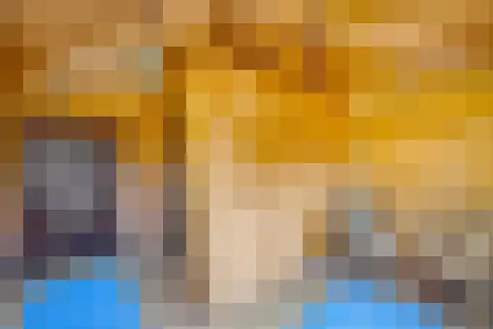 Dorpsdijk 69 Vierpolders thumbnail 34