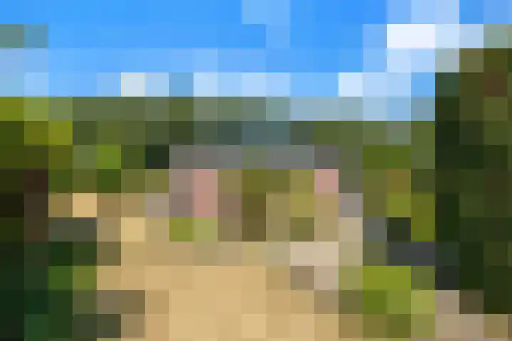 Dorpsdijk 69 Vierpolders thumbnail 37