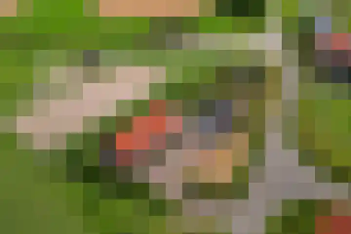 Dorpsdijk 69 Vierpolders thumbnail 38