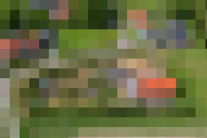 Dorpsdijk 69 Vierpolders thumbnail 39