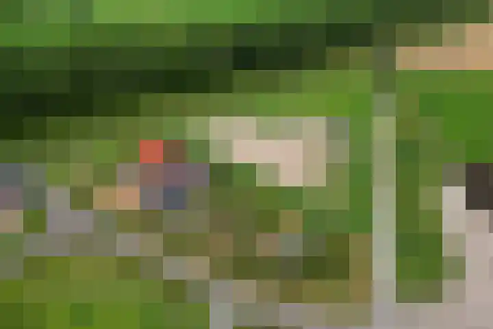 Dorpsdijk 69 Vierpolders thumbnail 40