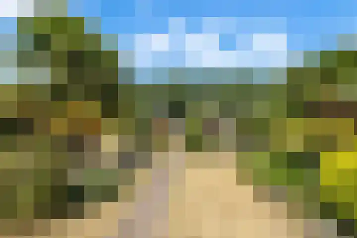 Dorpsdijk 69 Vierpolders thumbnail 5