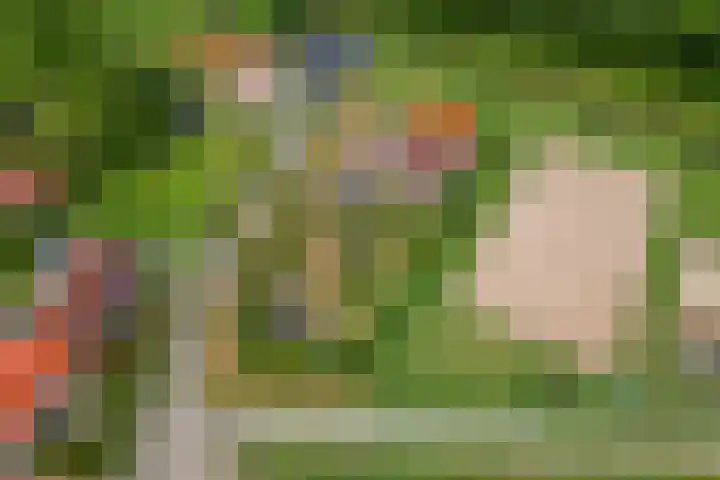 Dorpsdijk 69 Vierpolders thumbnail 6
