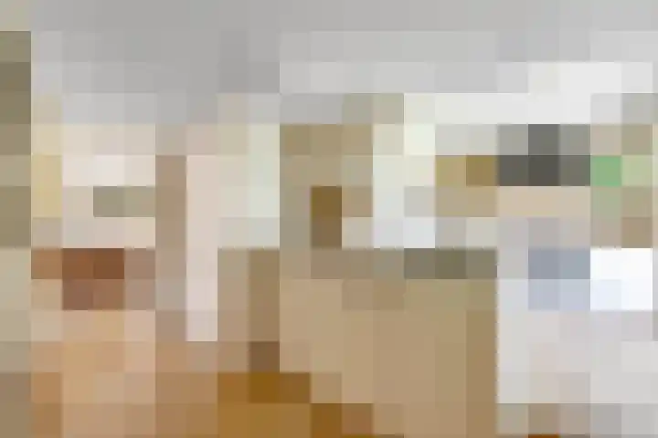 Dorpsdijk 69 Vierpolders thumbnail 9