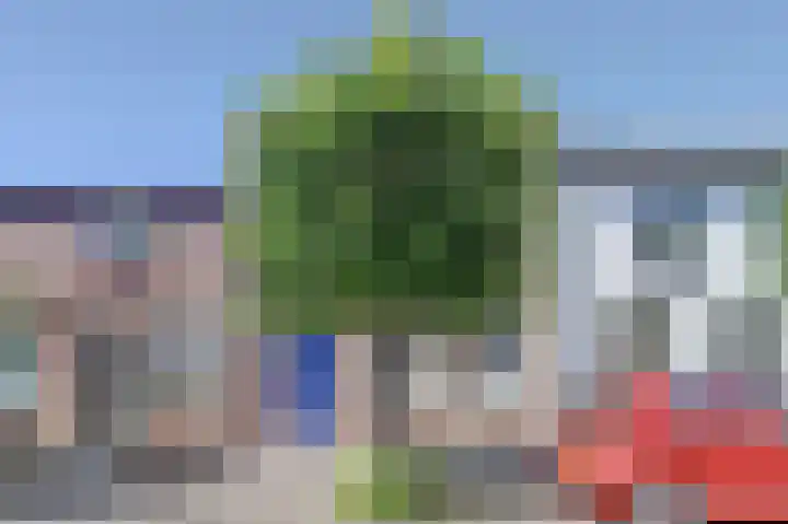 Dorpsdijk 80 Wissenkerke thumbnail 5