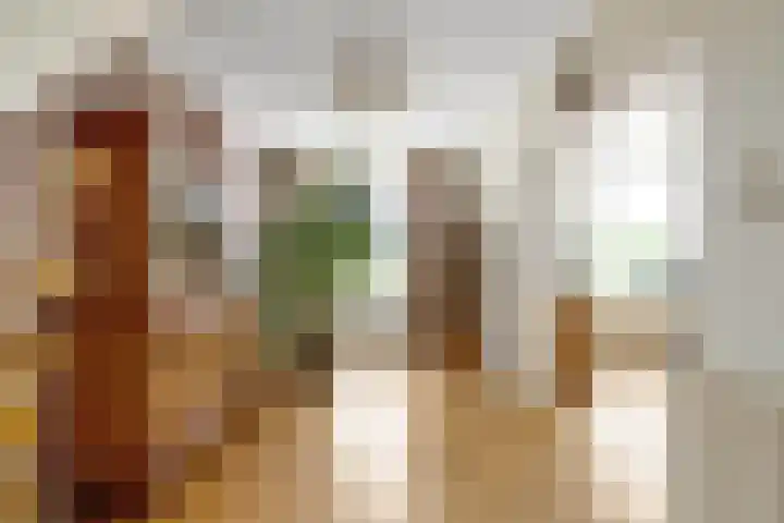 Dorpsdijk 81 Vierpolders thumbnail 15