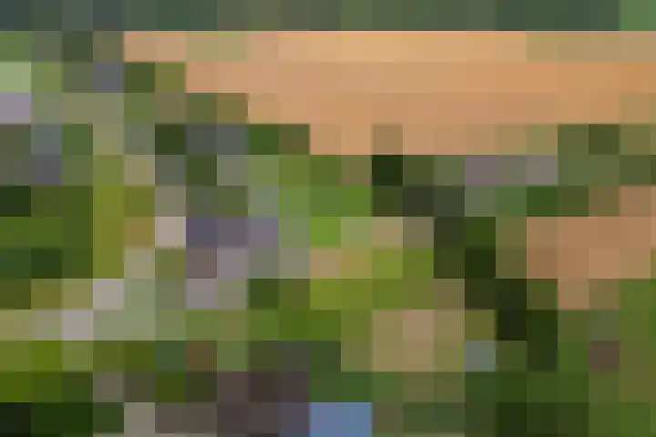 Dorpsdijk 81 Vierpolders thumbnail 4