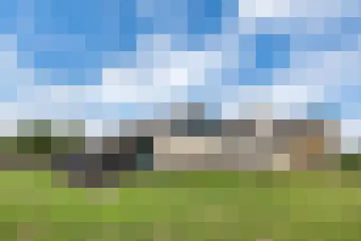 Dorpsdijk 81 Vierpolders thumbnail 43