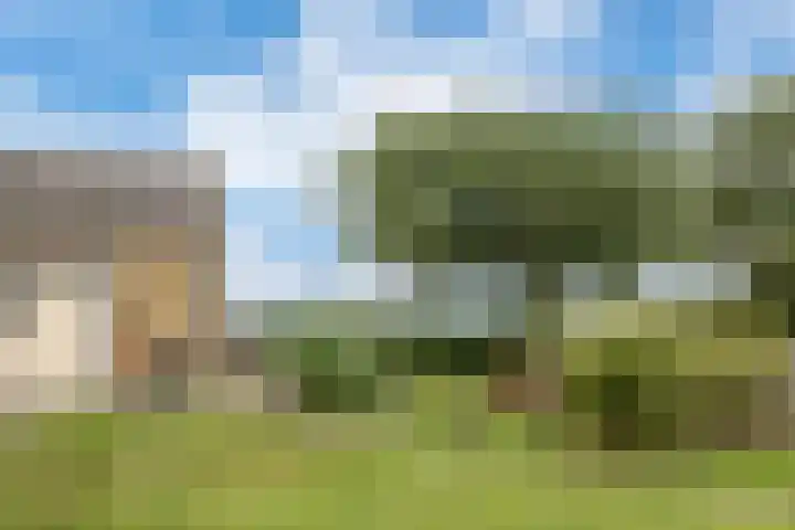Dorpsdijk 81 Vierpolders thumbnail 44