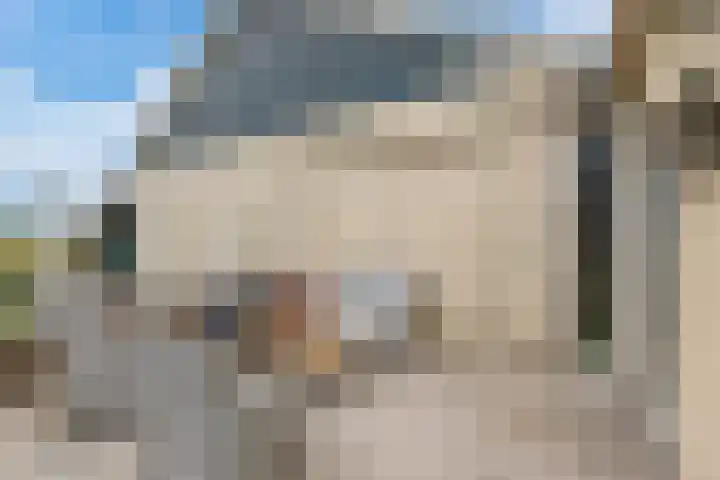 Dorpsdijk 81 Vierpolders thumbnail 45