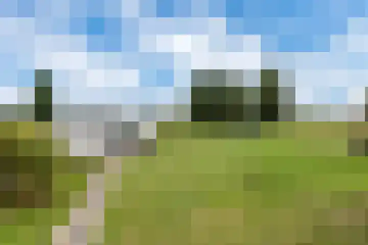 Dorpsdijk 81 Vierpolders thumbnail 47