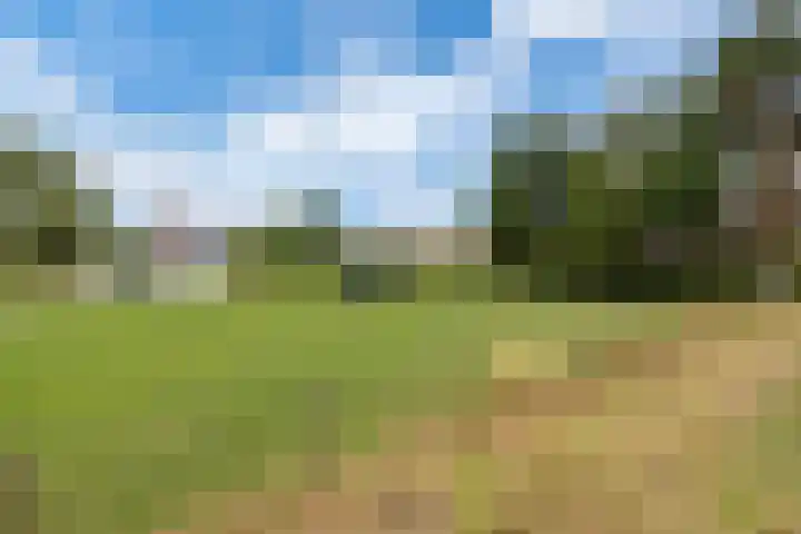 Dorpsdijk 81 Vierpolders thumbnail 49
