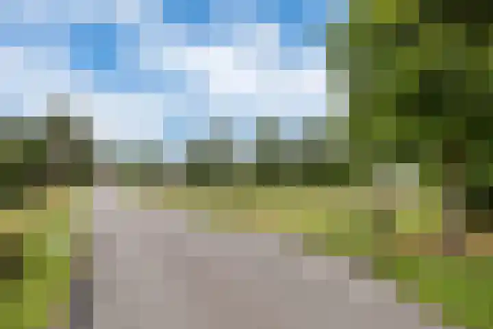 Dorpsdijk 81 Vierpolders thumbnail 50