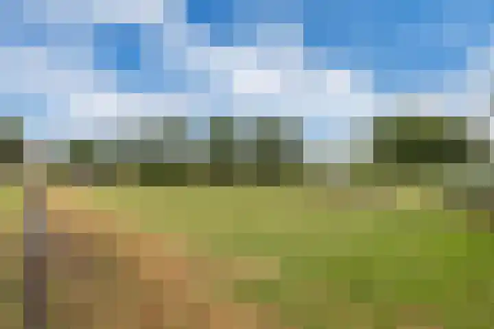 Dorpsdijk 81 Vierpolders thumbnail 51