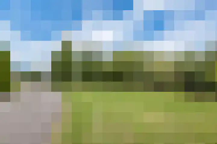 Dorpsdijk 81 Vierpolders thumbnail 52