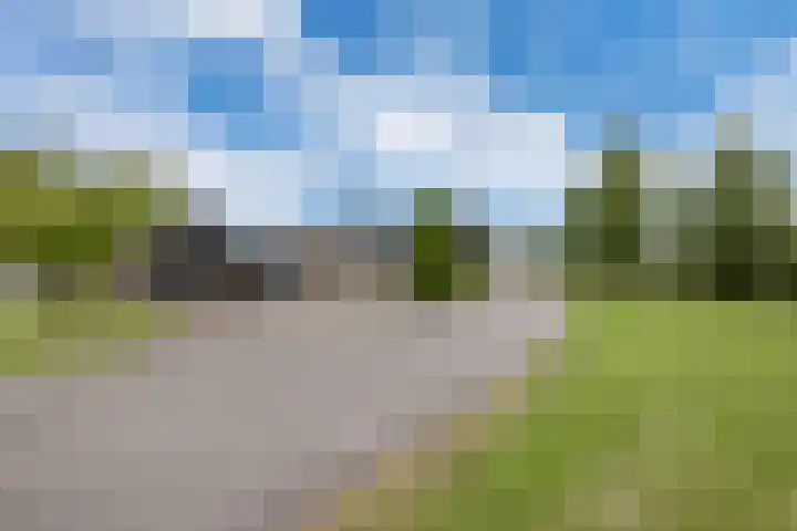 Dorpsdijk 81 Vierpolders thumbnail 53