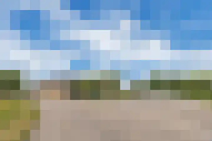 Dorpsdijk 81 Vierpolders thumbnail 55