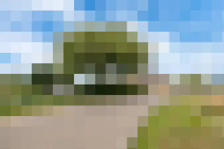 Dorpsdijk 81 Vierpolders thumbnail 56