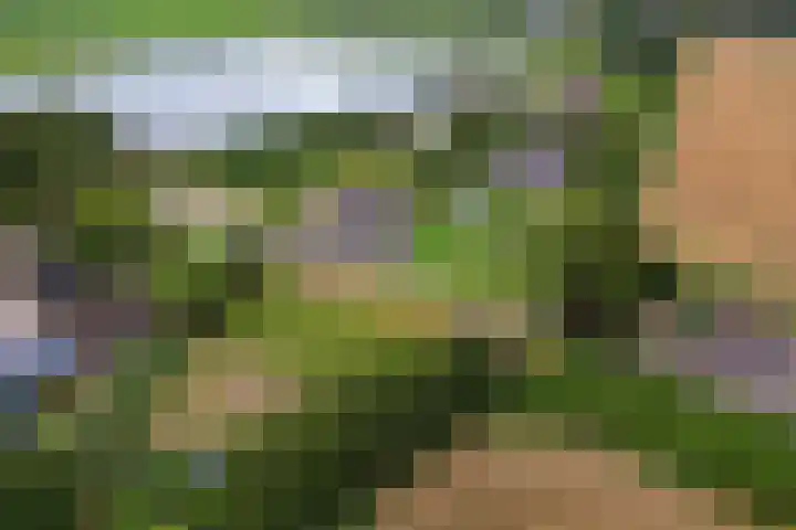 Dorpsdijk 81 Vierpolders thumbnail 58