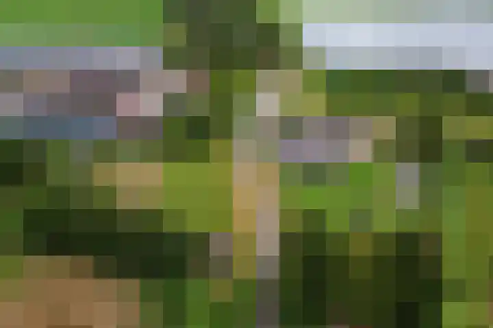 Dorpsdijk 81 Vierpolders thumbnail 59