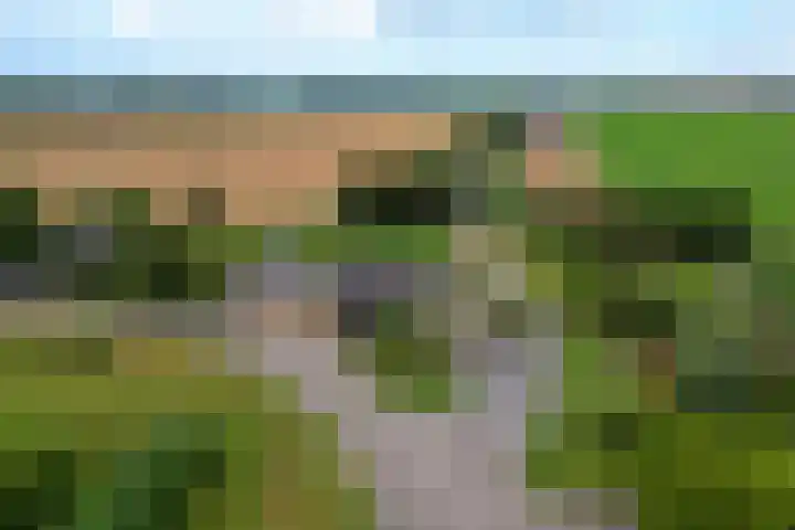 Dorpsdijk 81 Vierpolders thumbnail 61