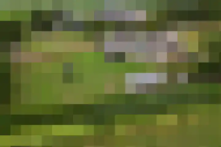 Dorpsdijk 81 Vierpolders thumbnail 63