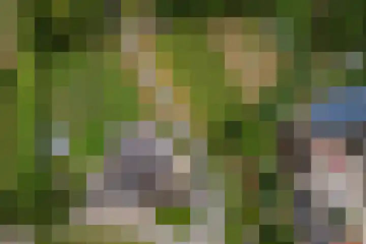 Dorpsdijk 81 Vierpolders thumbnail 64