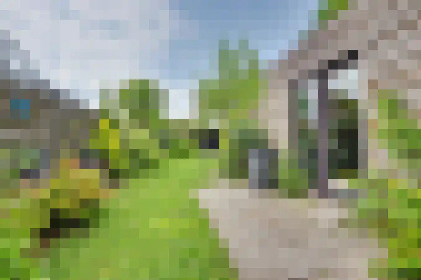 Dorpsdijk 88 Wissenkerke thumbnail 35