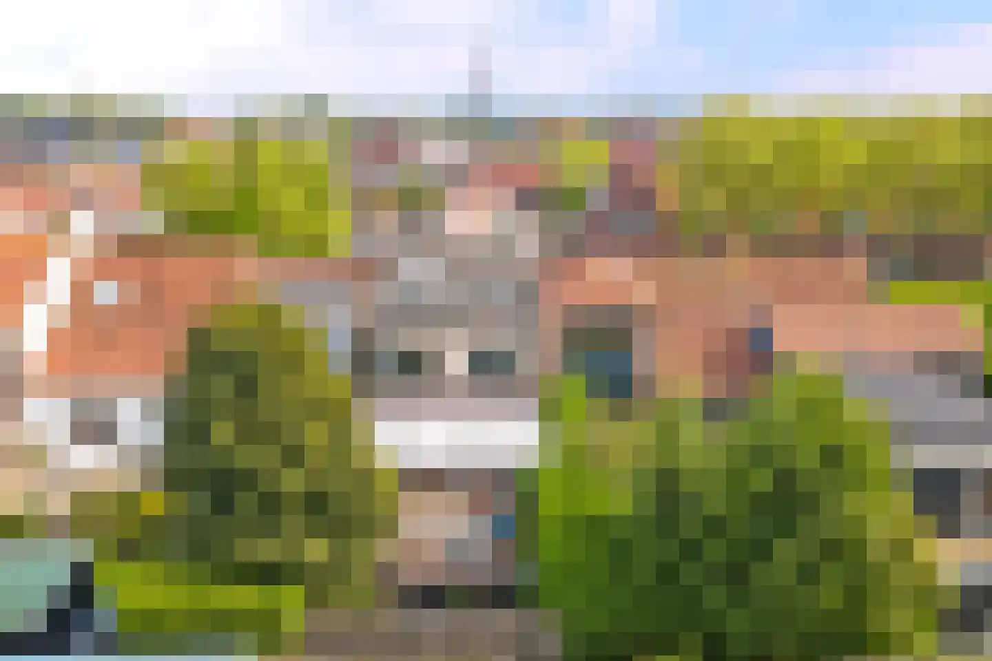 Dorpsdijk 88 Wissenkerke thumbnail 43
