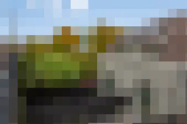 Dorpsdijk 94 b Rhoon thumbnail 24