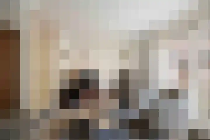 Dorpsdwarsstraat 6 Twello thumbnail 11