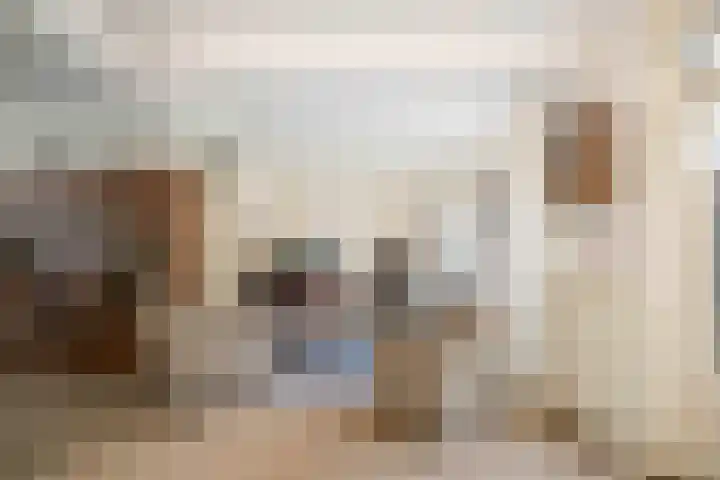 Dorpsdwarsstraat 6 Twello thumbnail 12