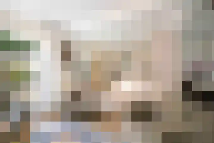 Dorpsdwarsstraat 6 Twello thumbnail 13