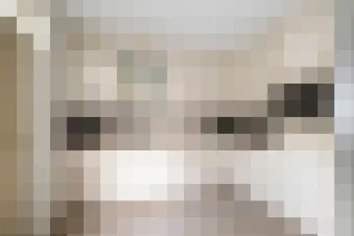 Dorpsdwarsstraat 6 Twello thumbnail 16