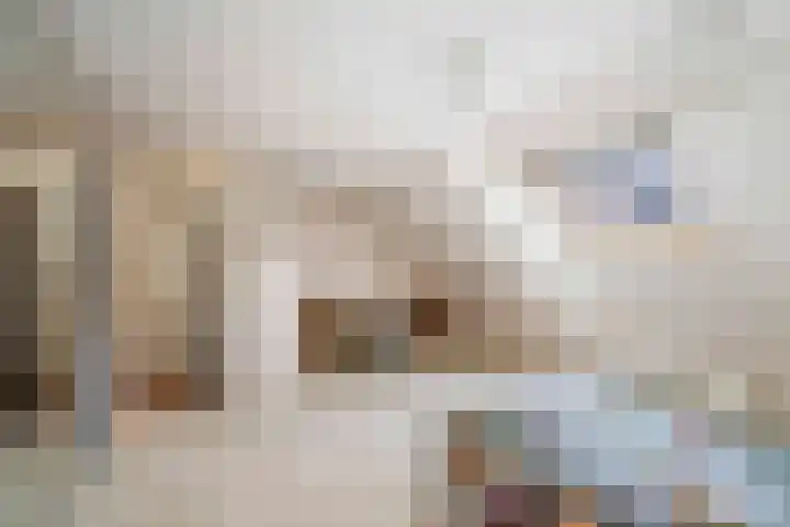 Dorpsdwarsstraat 6 Twello thumbnail 23