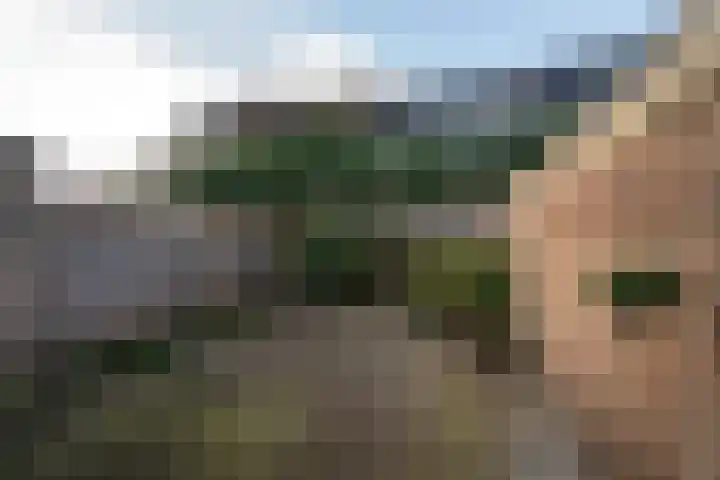 Dorpsdwarsstraat 6 Twello thumbnail 29