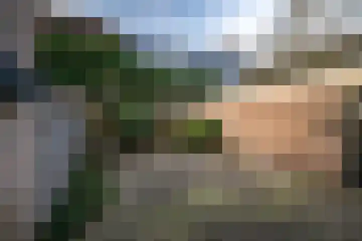 Dorpsdwarsstraat 6 Twello thumbnail 30