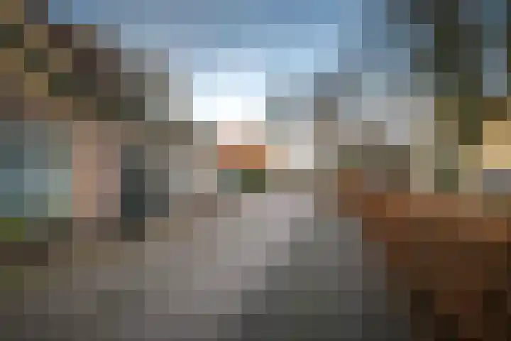 Dorpsdwarsstraat 6 Twello thumbnail 31