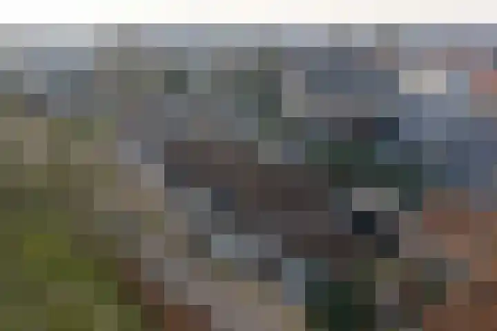 Dorpsdwarsstraat 6 Twello thumbnail 33