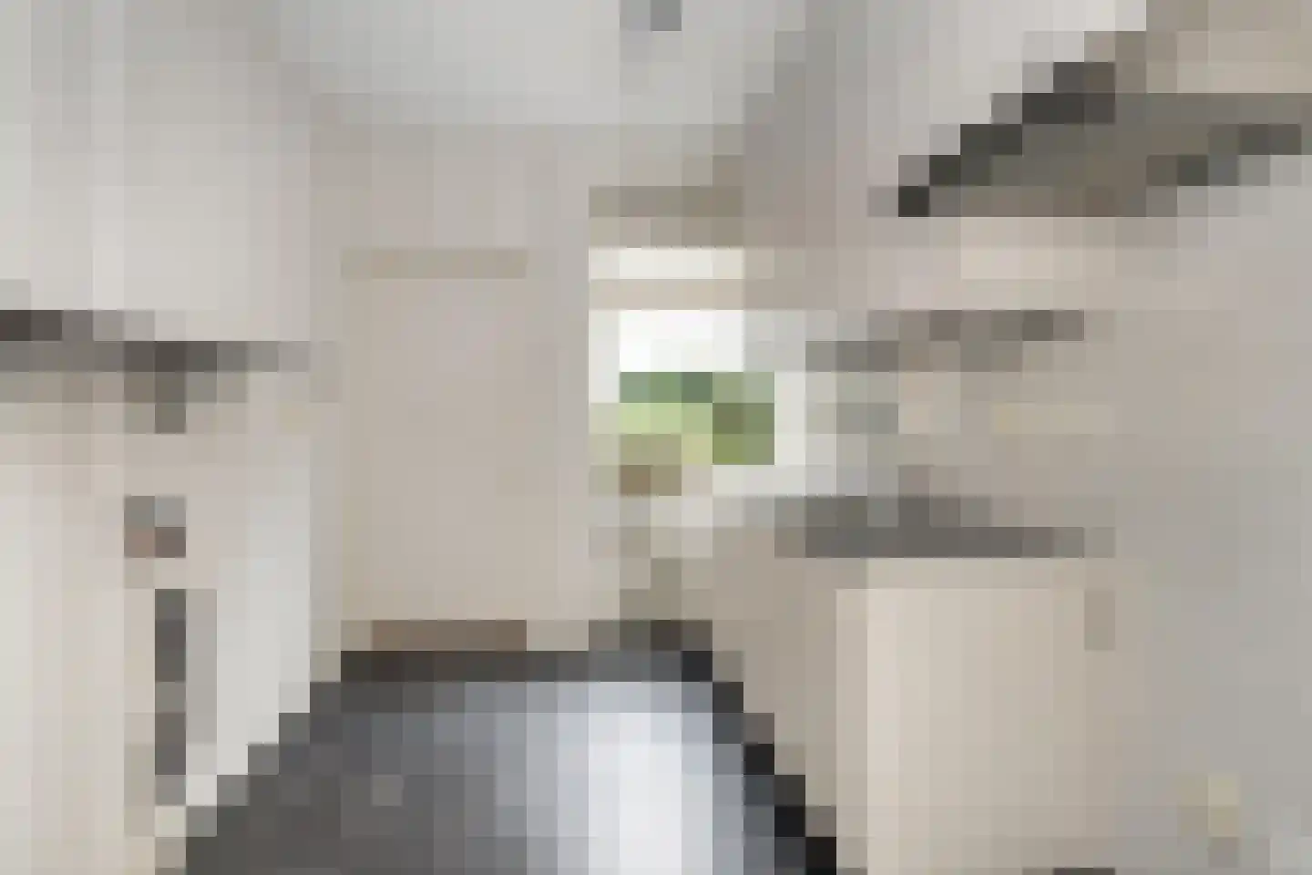 Dorpshuisstraat 31 Veeningen thumbnail 7