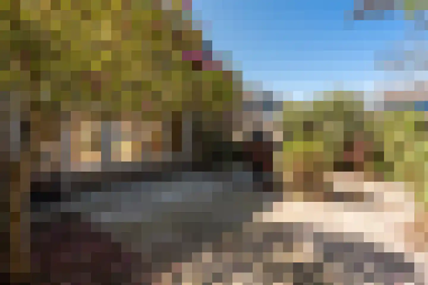 Dorpshuisstraat 37 Nieuwe Pekela thumbnail 23