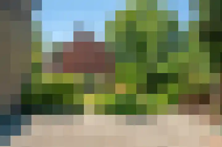 Dorpshuisstraat 40 Nieuwe Pekela thumbnail 40